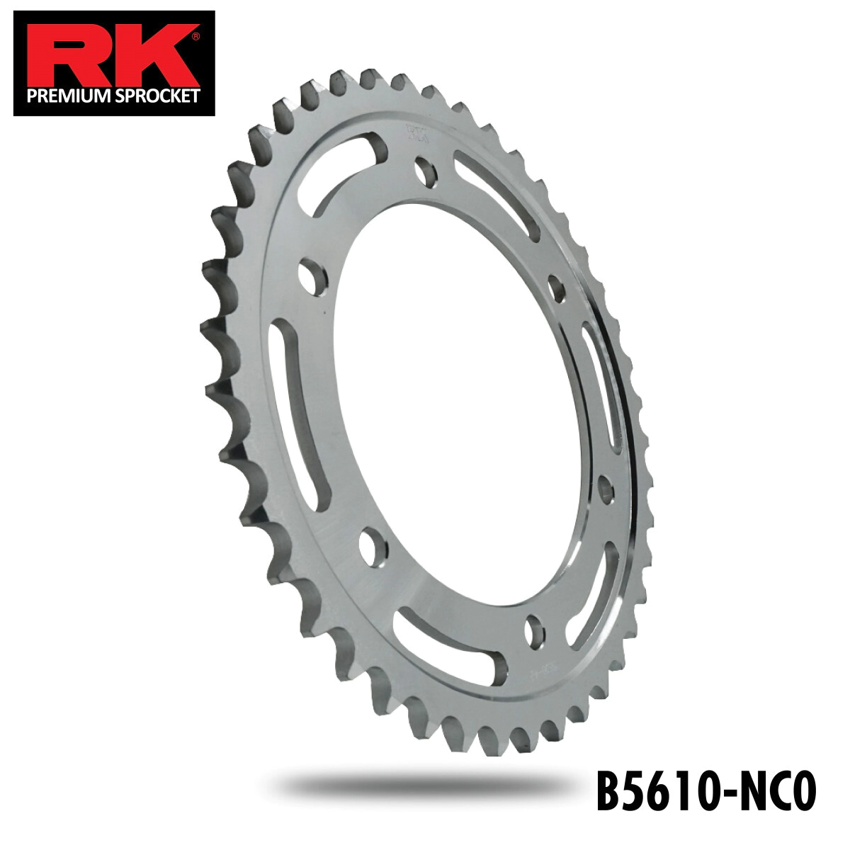 RK Corona Moto 42 dientes TDM 900 02-13